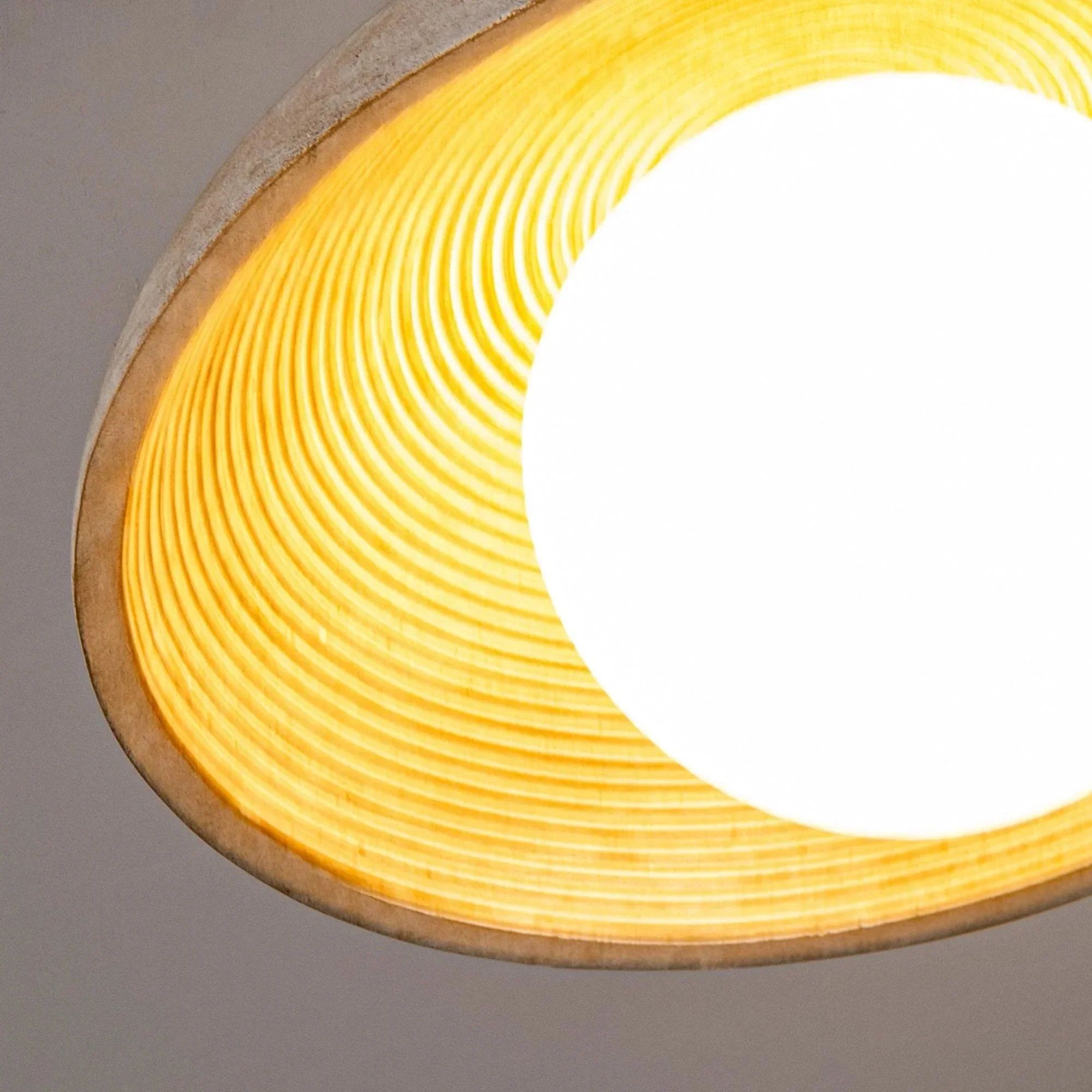 Parrot Uncle 1-Light Iron Farmhouse Island Pendant Lighting (BBB0122-1110V) - Image 4