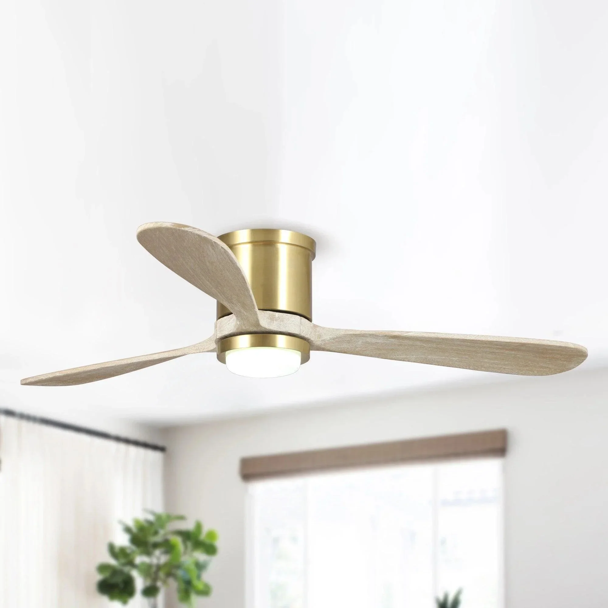Parrot Uncle 52-Inch Mayna Smart Fan with LED Light and Remote Control (530173SQ-SMART) - Image 2