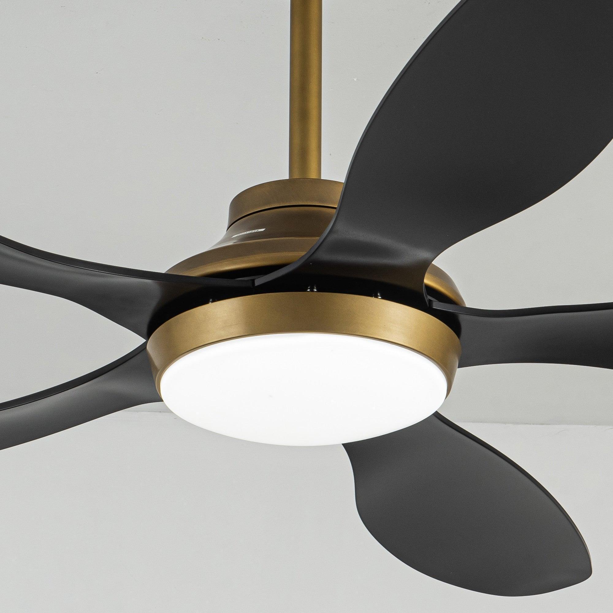 Parrot Uncle 52-Inch Punjab Smart Fan with LED Light (F6357-SMART) - Image 11