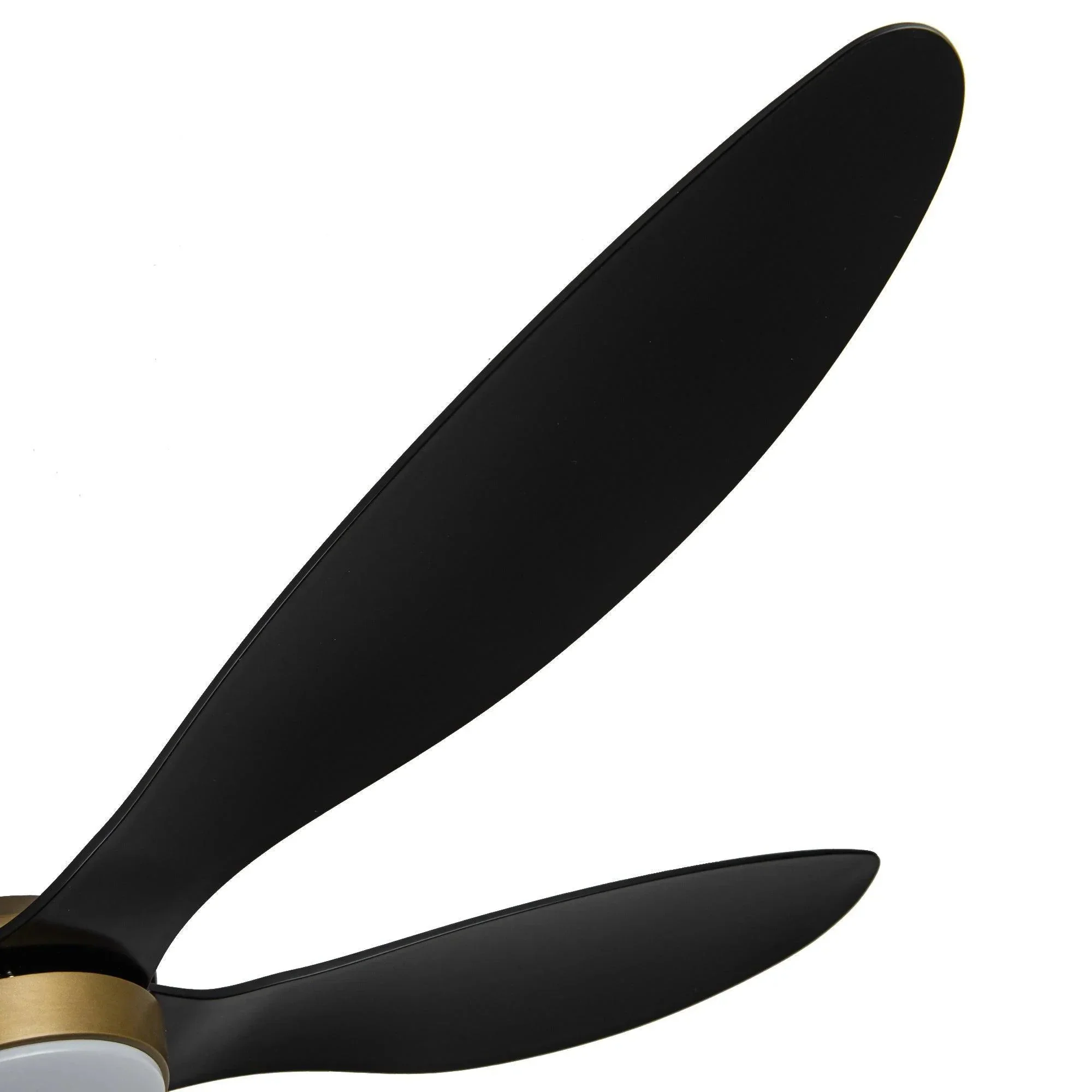 Parrot Uncle 52-Inch Punjab Smart Fan with LED Light (F6357-SMART) - Image 14