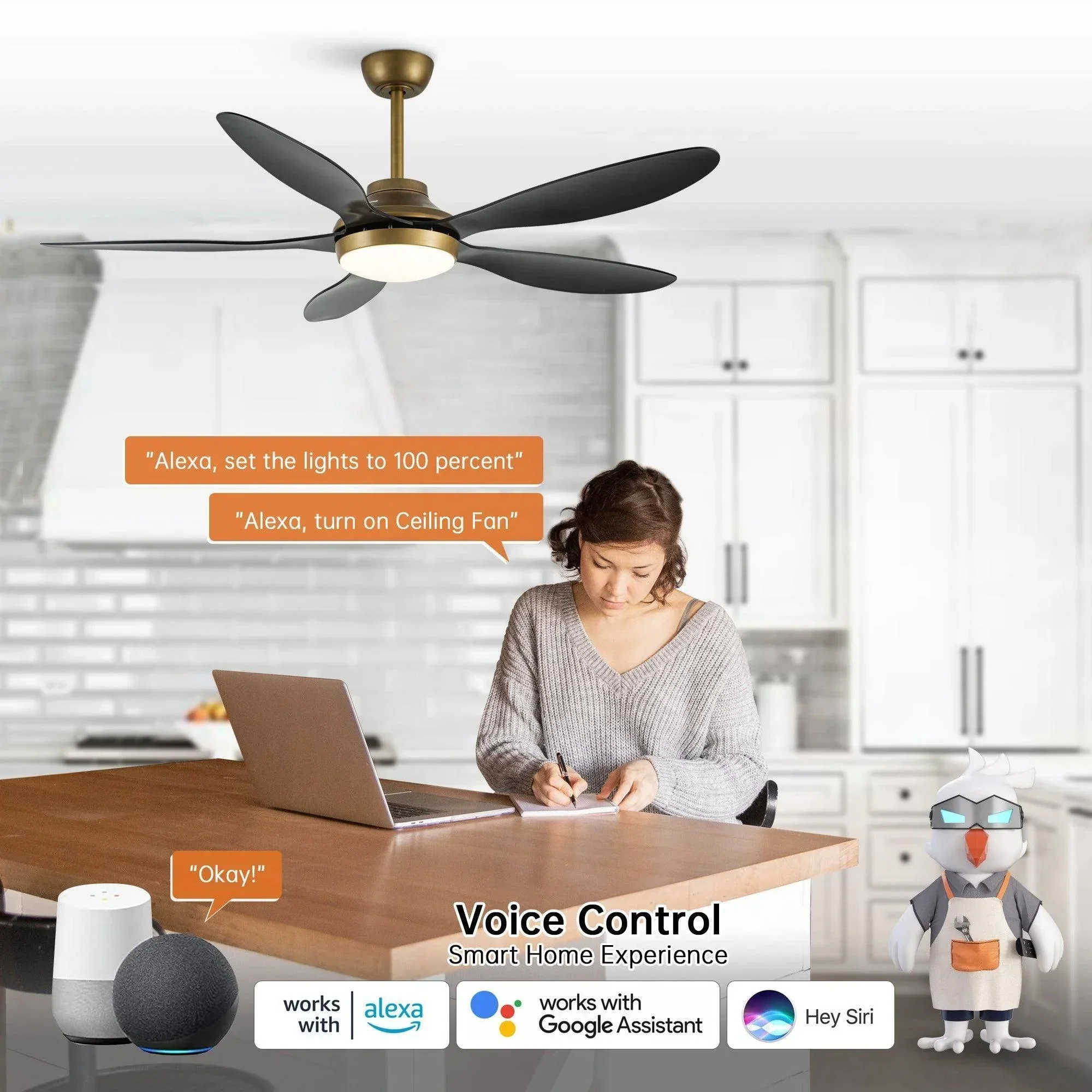 Parrot Uncle 52-Inch Punjab Smart Fan with LED Light (F6357-SMART) - Image 4
