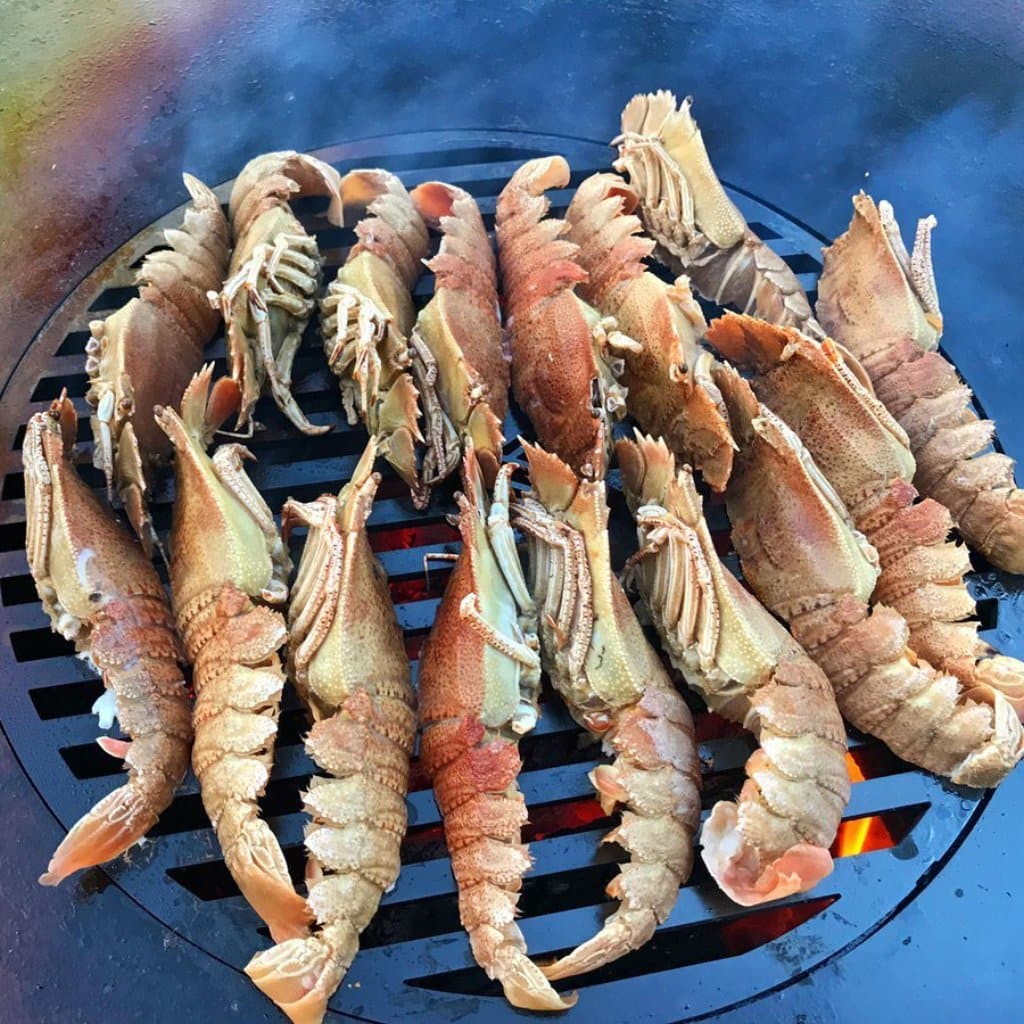 Arteflame Grill Grates - Image 5