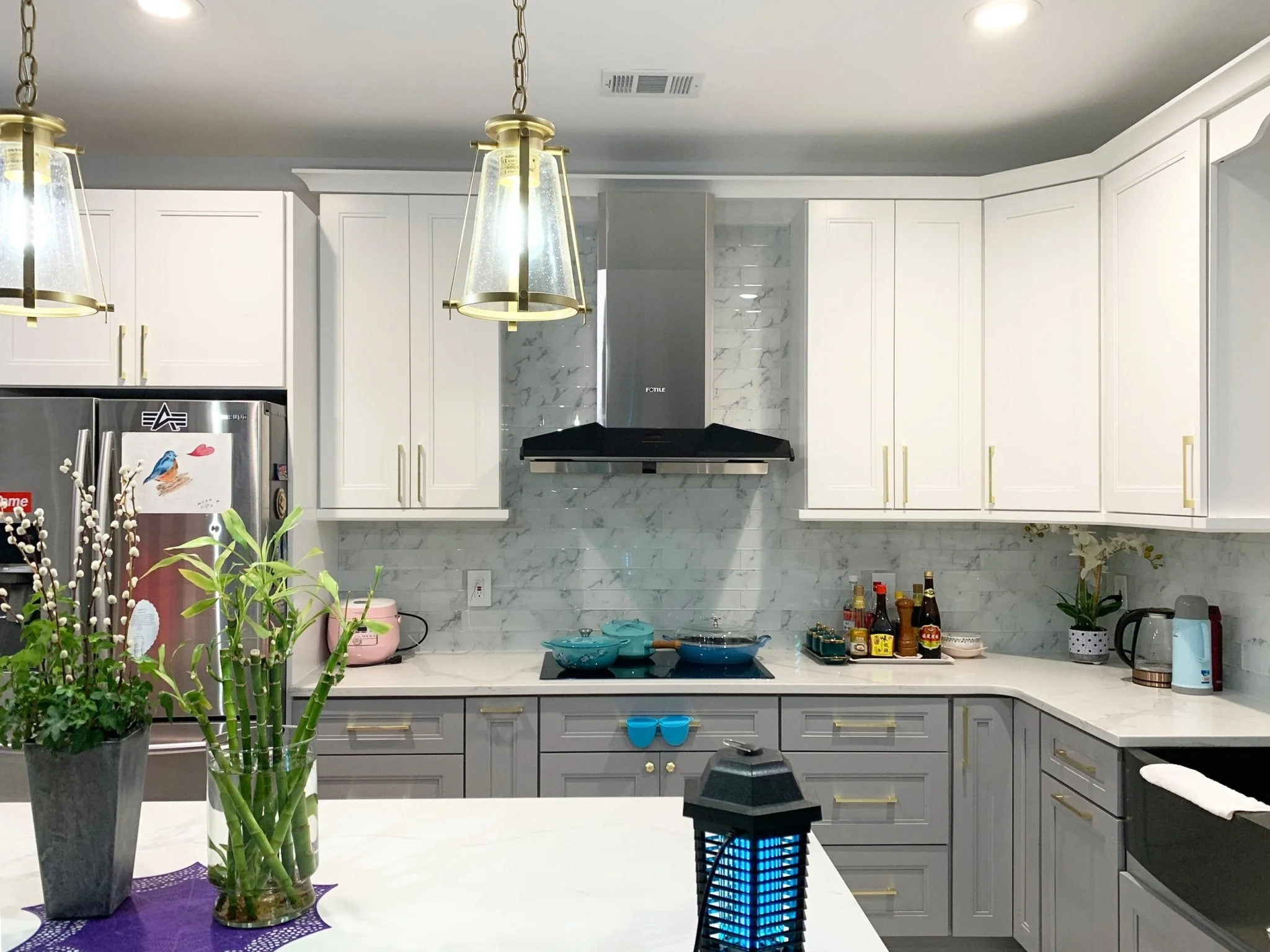 Fotile Ceiling Decorative Cover for EMG9030 & EMS9026 Range Hoods - Image 2