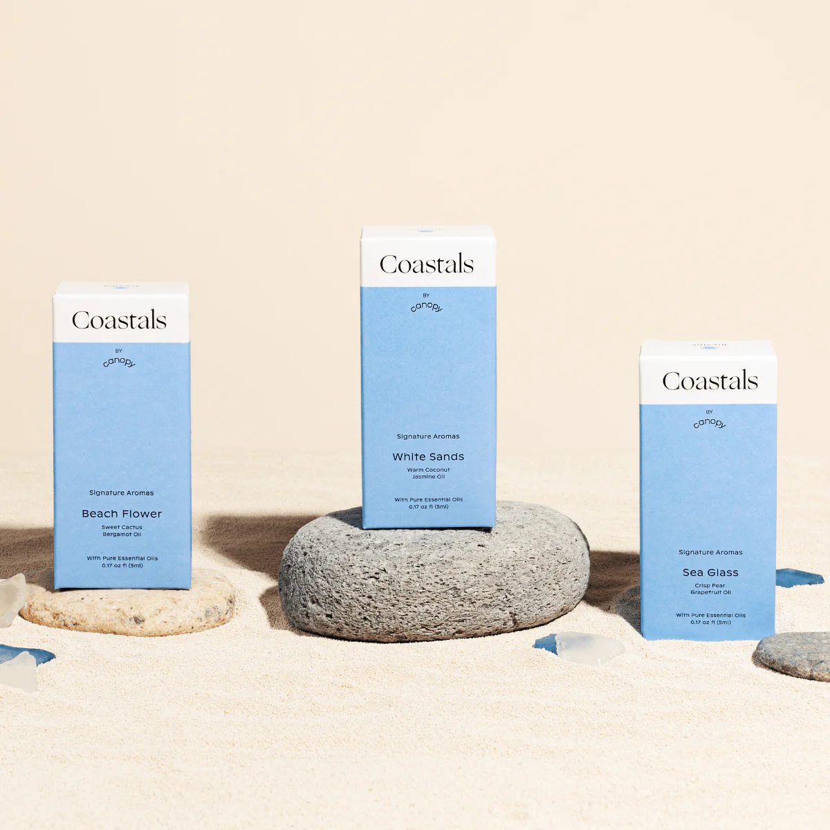 Canopy Coastals Aroma Kit With Pure Essential Oils - Image 3