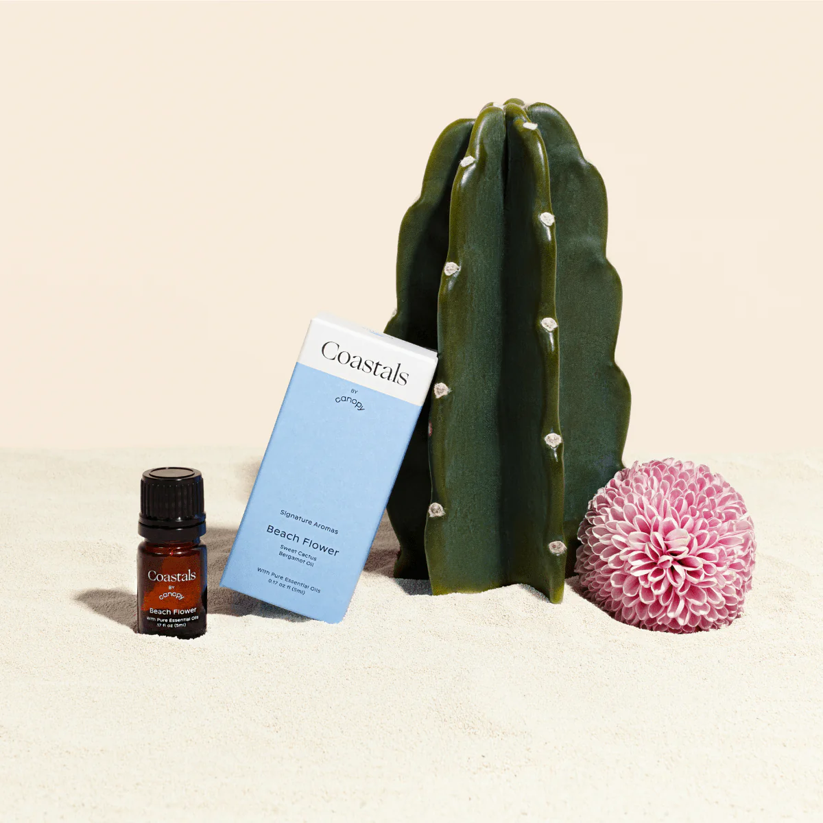 Canopy Coastals Aroma Kit With Pure Essential Oils - Image 4