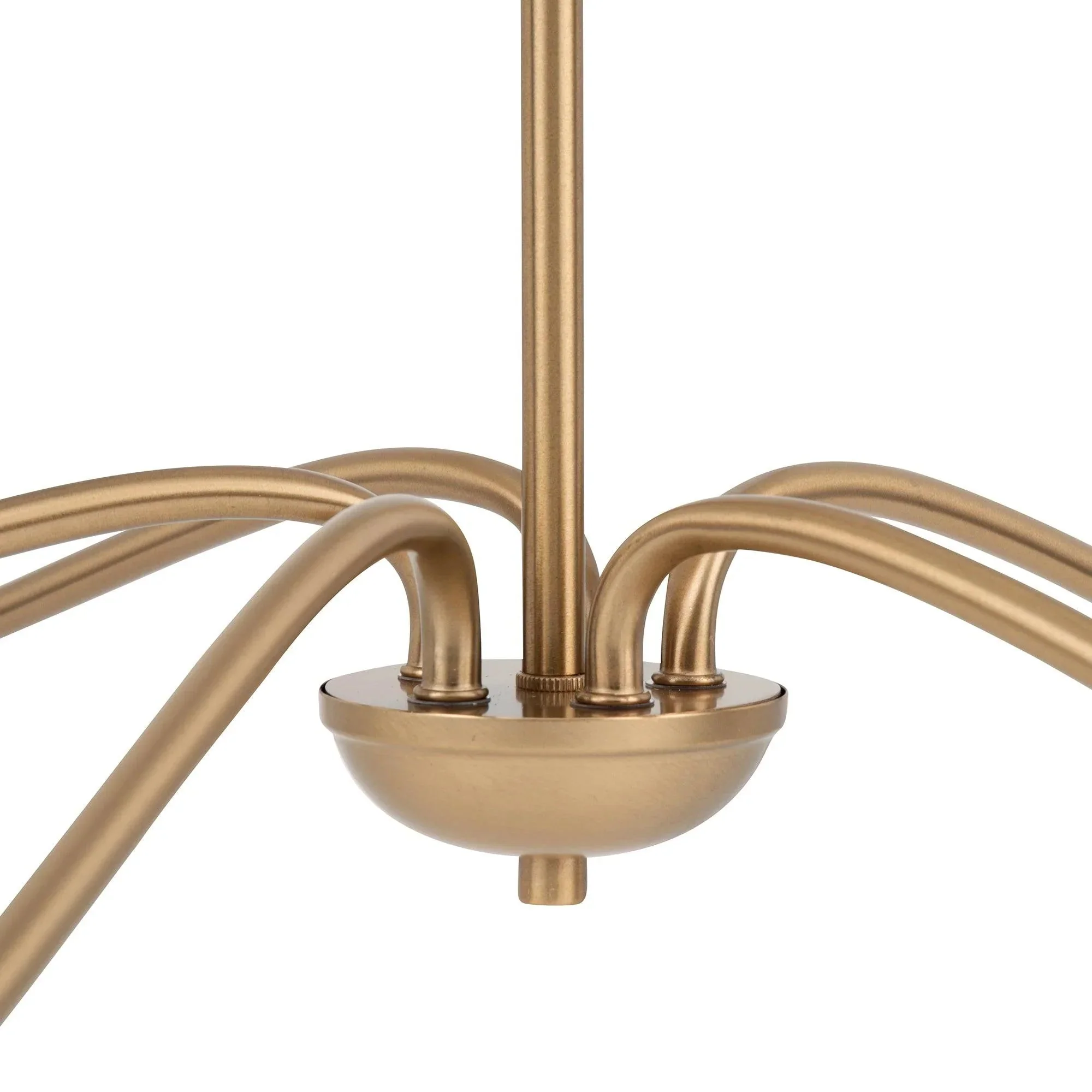Parrot Uncle Ellie 5-Light Elegant Industrial Dimmable Chandelier - Image 18