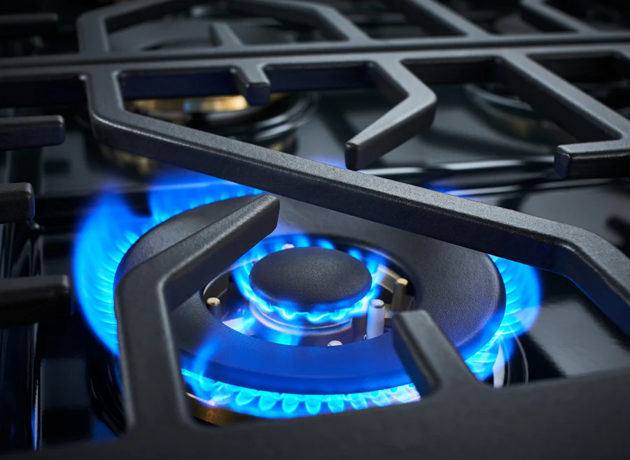 Forza 30-Inch Professional Dual Fuel Range in Stainless Steel (FR304DF) - Image 2