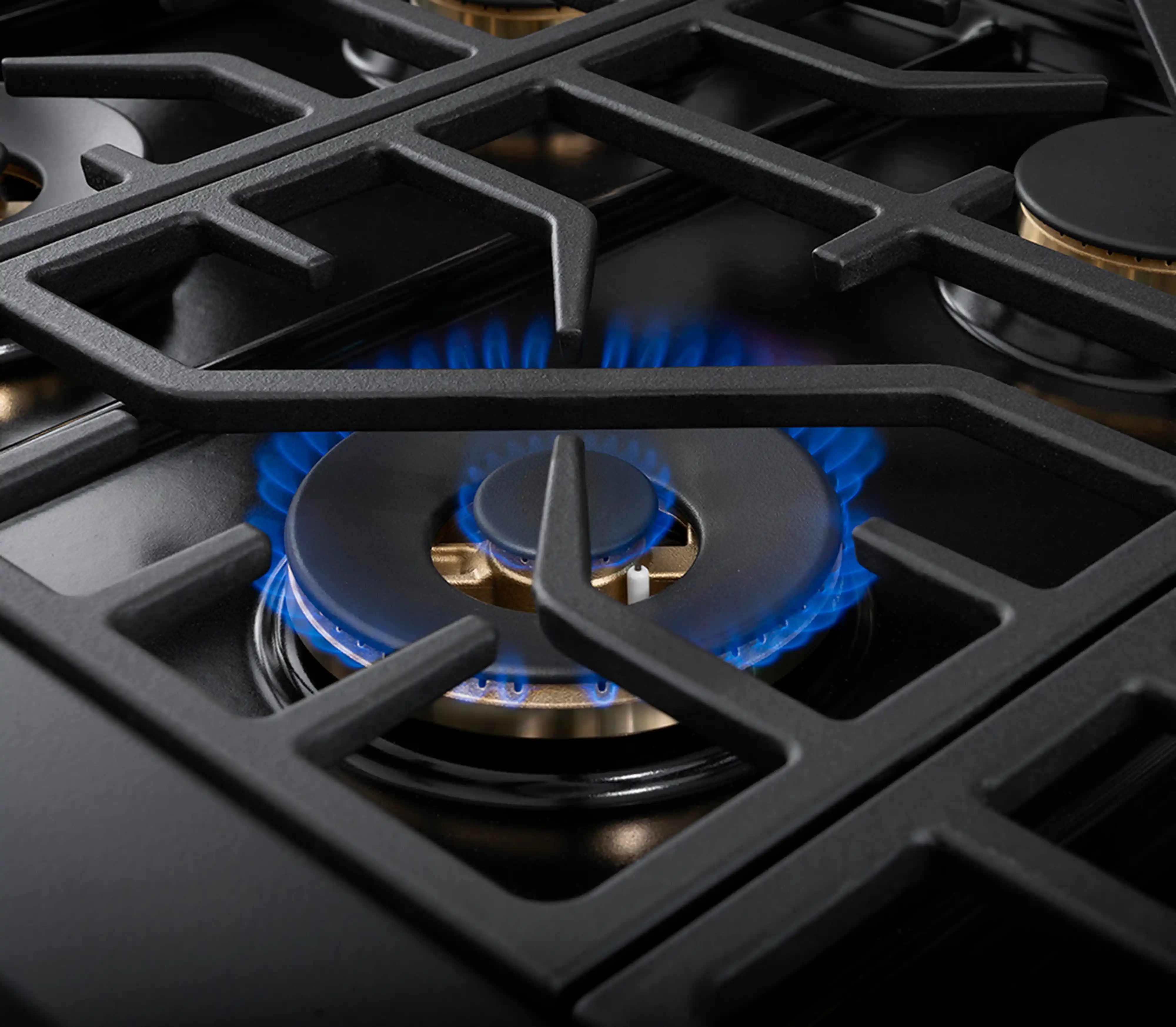 Forza 48-Inch Professional Dual Fuel Range in Dinamico Blue (FR488DF-B) - Image 3