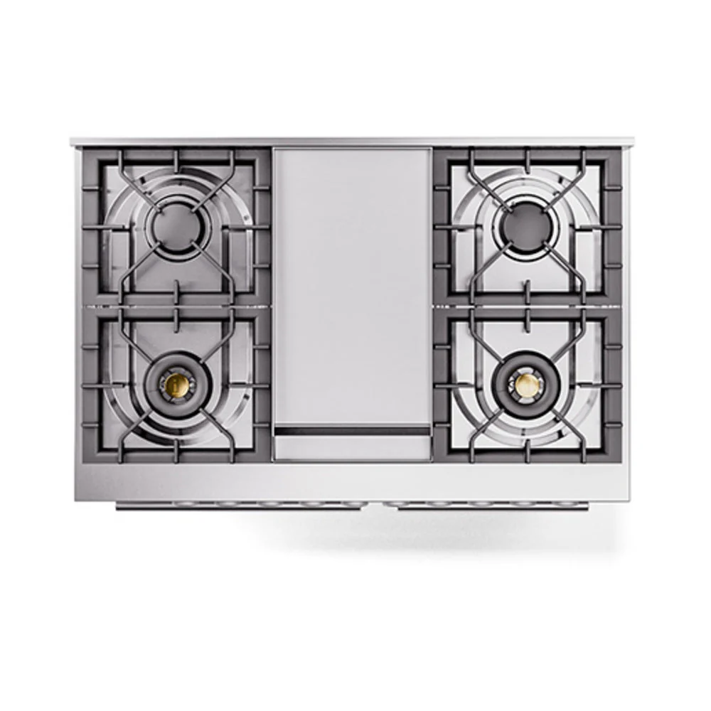 ILVE 40-inch Professional Plus II Natural Gas Dual Fuel Range with Solid Door Oven in Custom RAL (UPD40FQMPRA) - Image 3