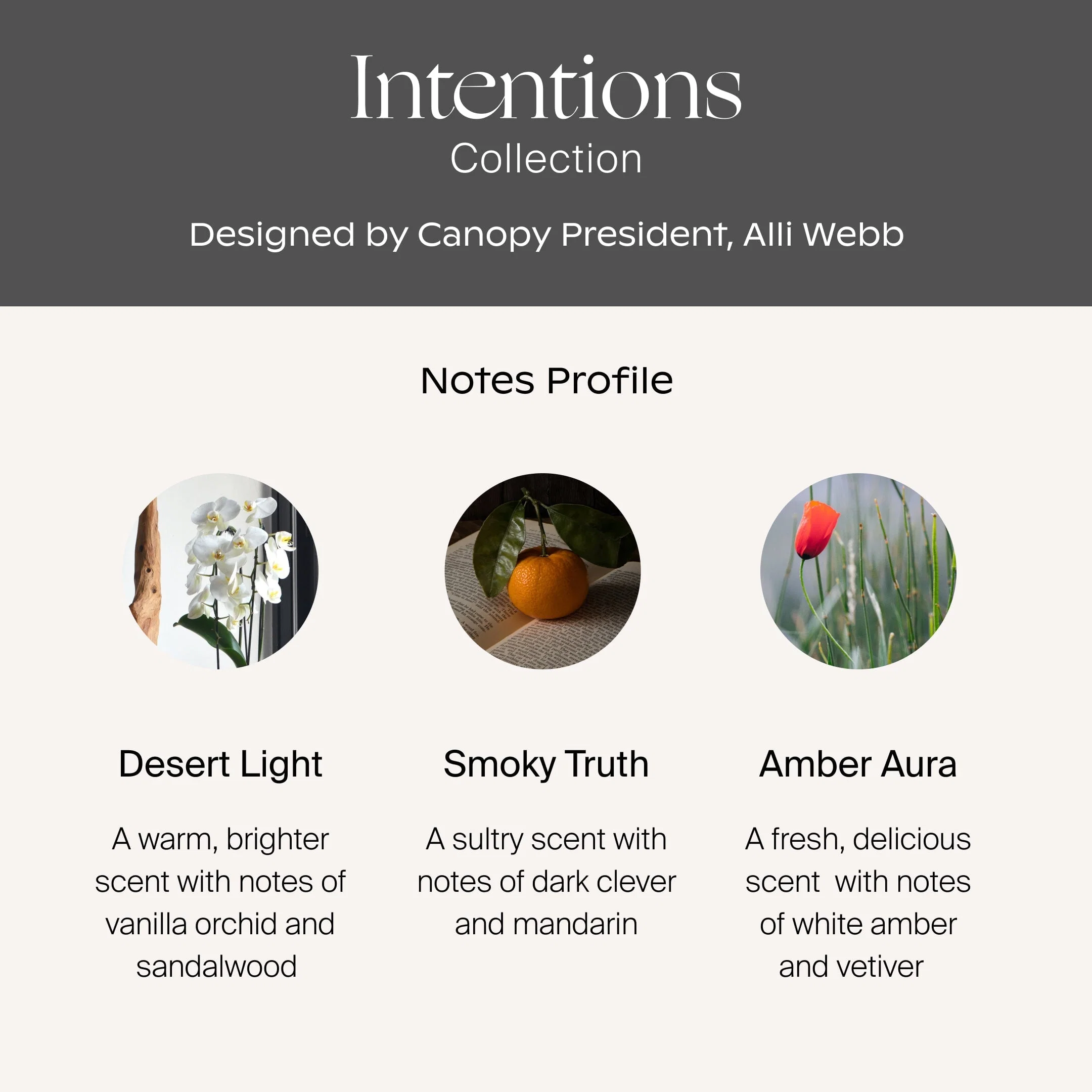 Canopy Intentions Aroma Kit With Pure Essential Oils - Image 3
