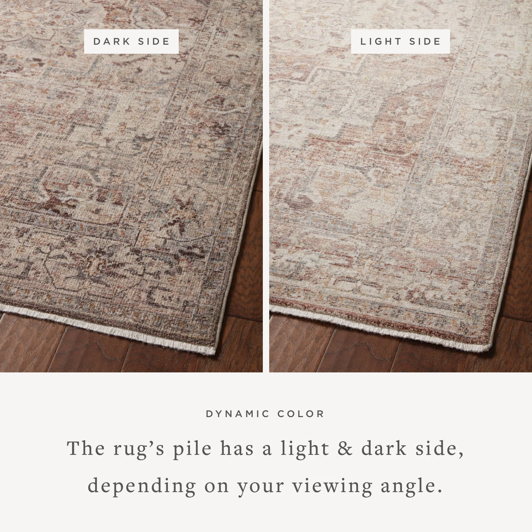 Loloi Area Rug 5' 3" x 7' 9" in Berry and Stone (LYR-06) - Image 2