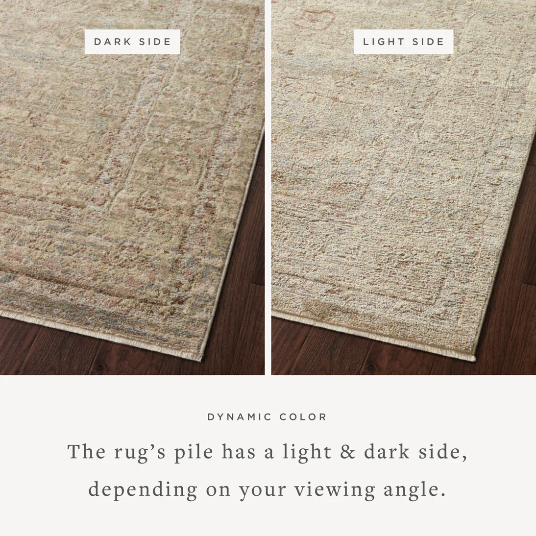 Loloi Area Round Rug 7'10" x 7'10" in Moss and Natural (SNN-04) - Image 2