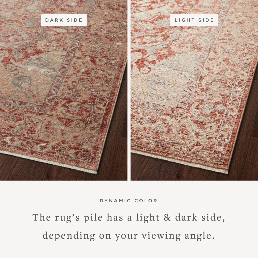 Loloi Area Round Rug 7'10" x 7'10" in Spice (SNN-10) - Image 2