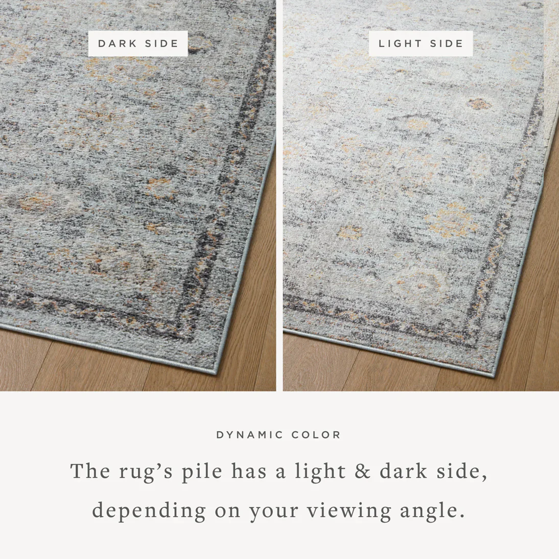 Loloi II Accent Rug 3' 9" x 5' 9" in Sky and Gold (MON-04) - Image 3