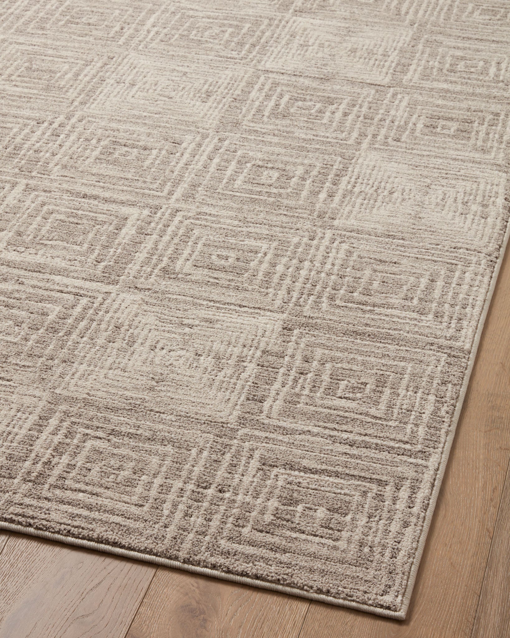 Loloi II Area Rug 6' 7" x 9' 3" in Beige and Gray (DAR-05) - Image 7