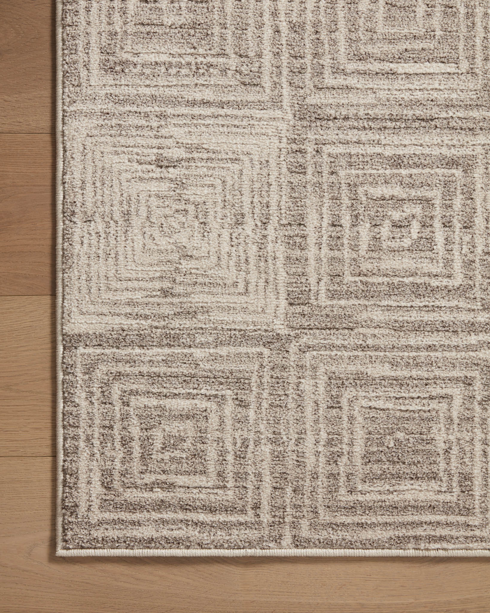 Loloi II Area Rug 7'10" x 10' in Beige and Gray (DAR-05) - Image 5