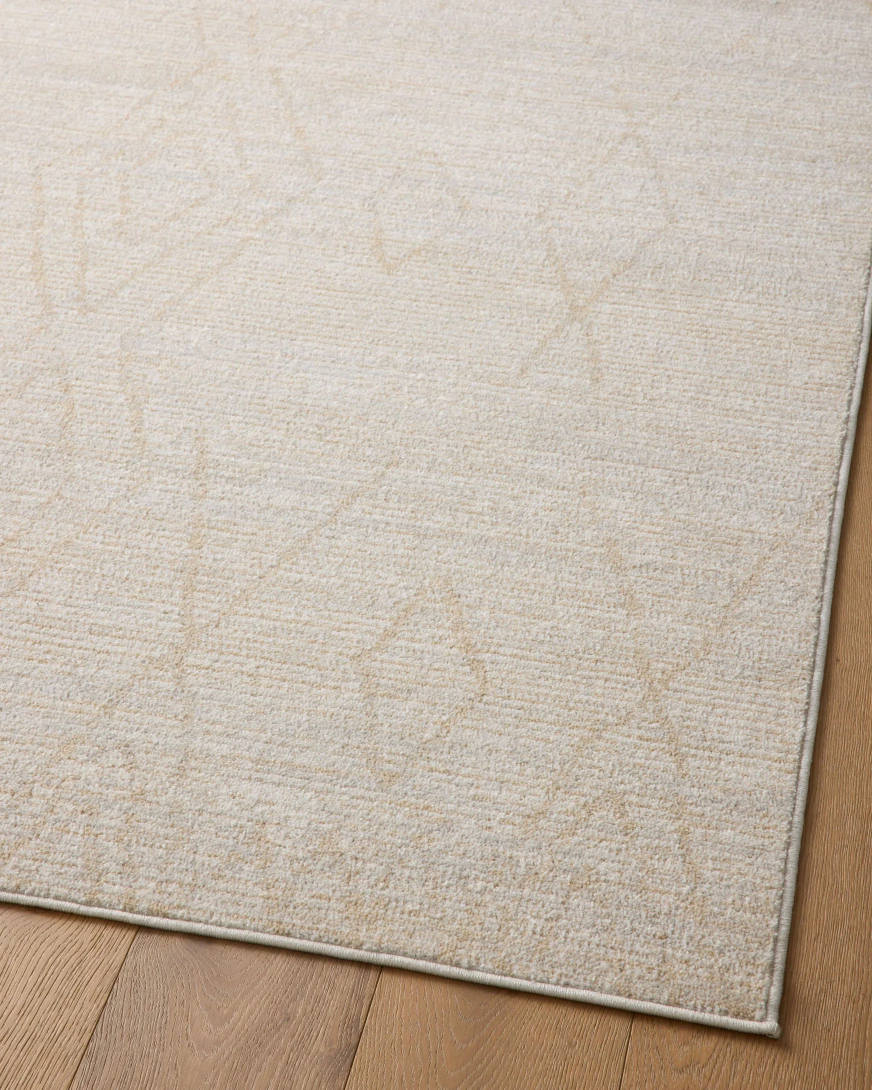 Loloi Kamala Transitional in Natural and Mist 7'10" x 10' Area Rug (KAM-03) - Image 7