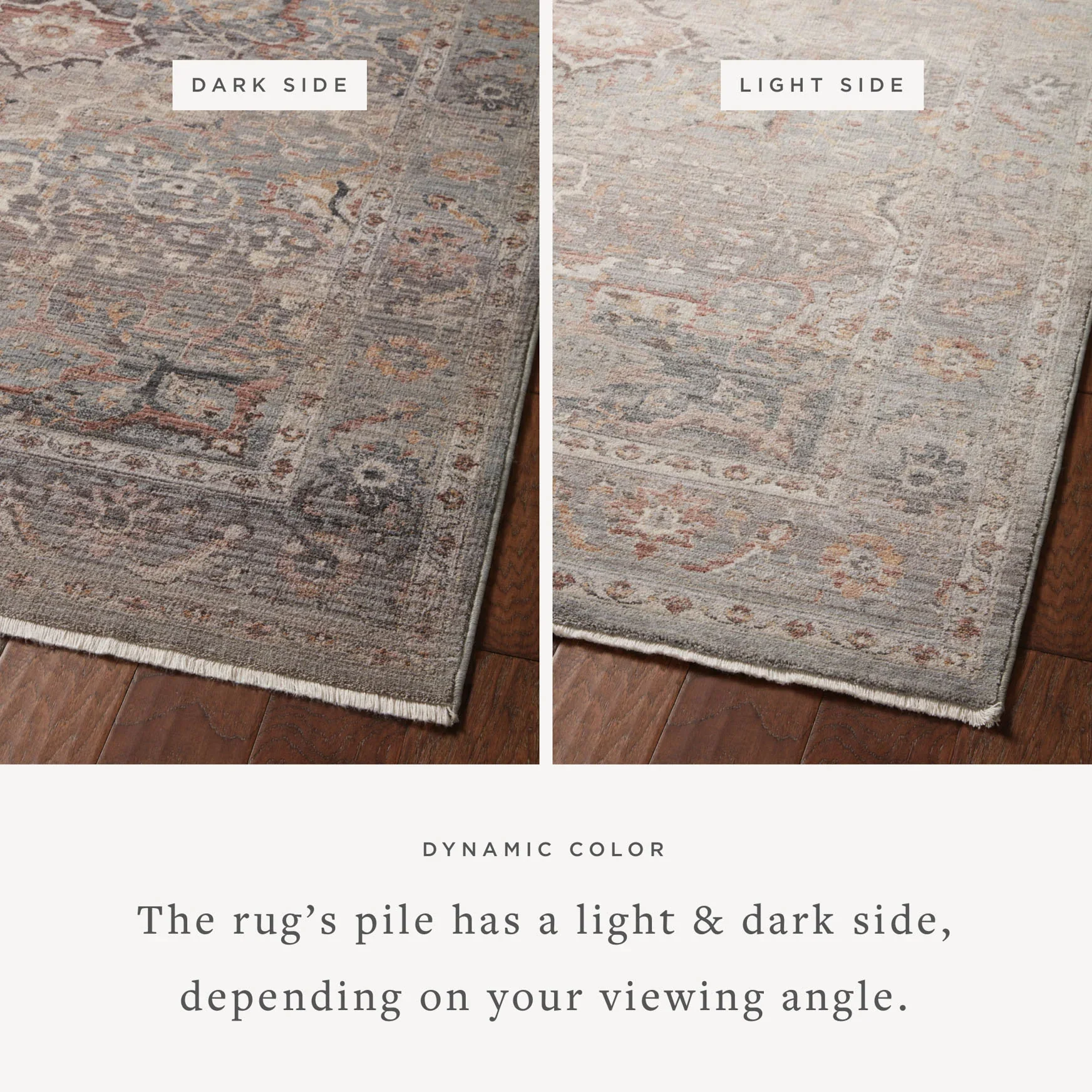 Loloi Runner Rug 2' 7" x 10' in Sky (LYR-03) - Image 2