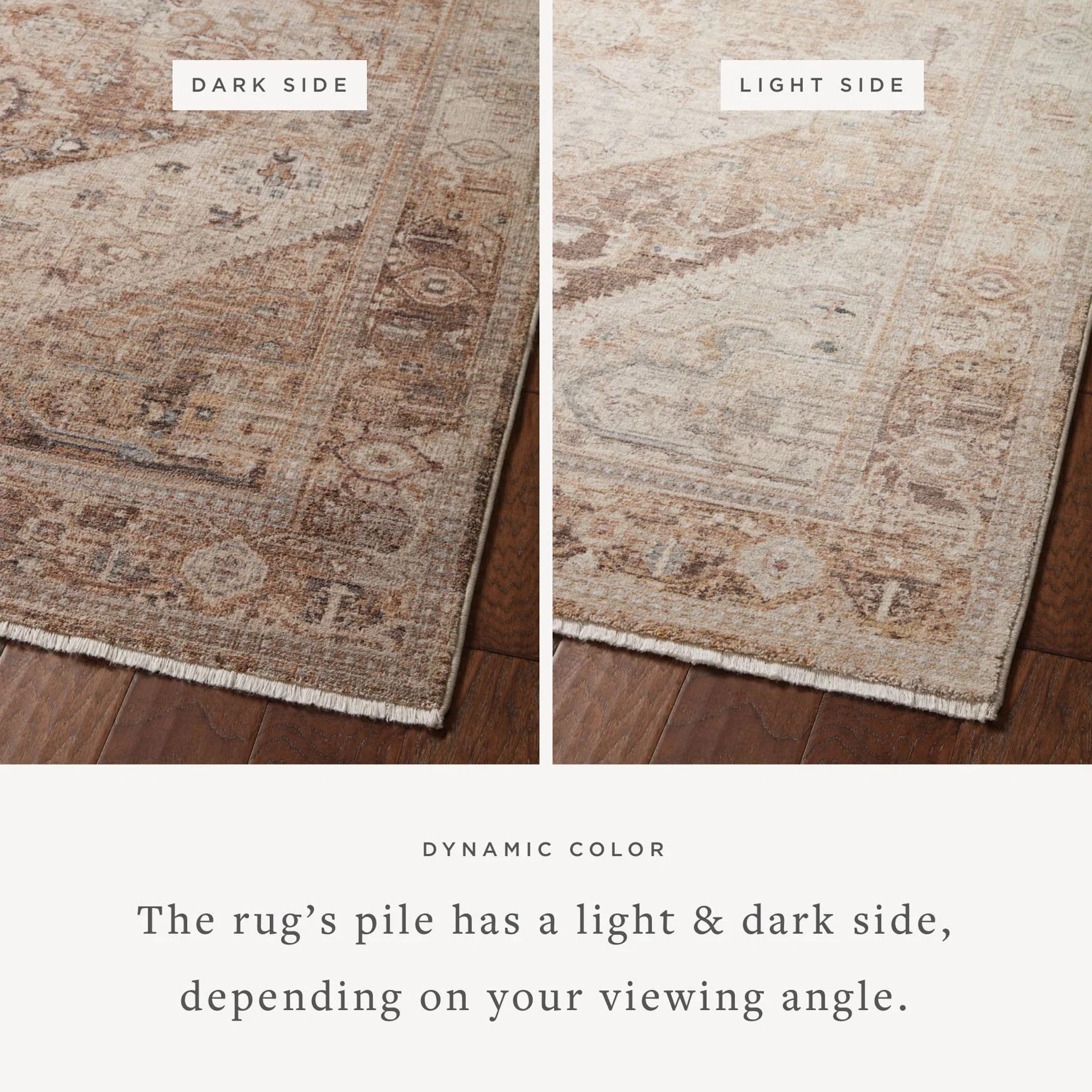 Loloi Runner Rug 2' 7" x 16' in Natural and Mocha (LYR-07) - Image 4
