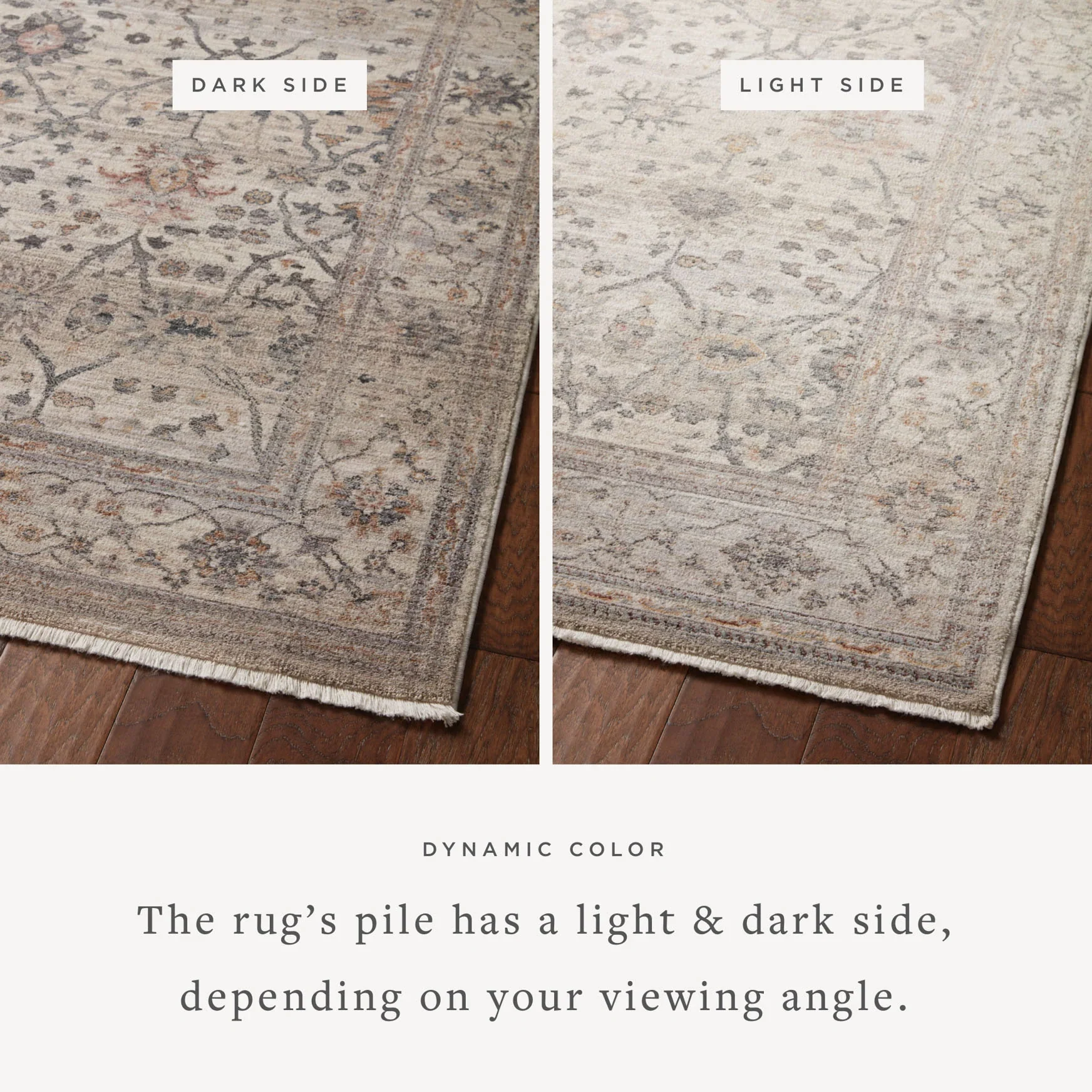 Loloi Runner Rug 2' 7" x 16' in Pebble (LYR-04) - Image 2