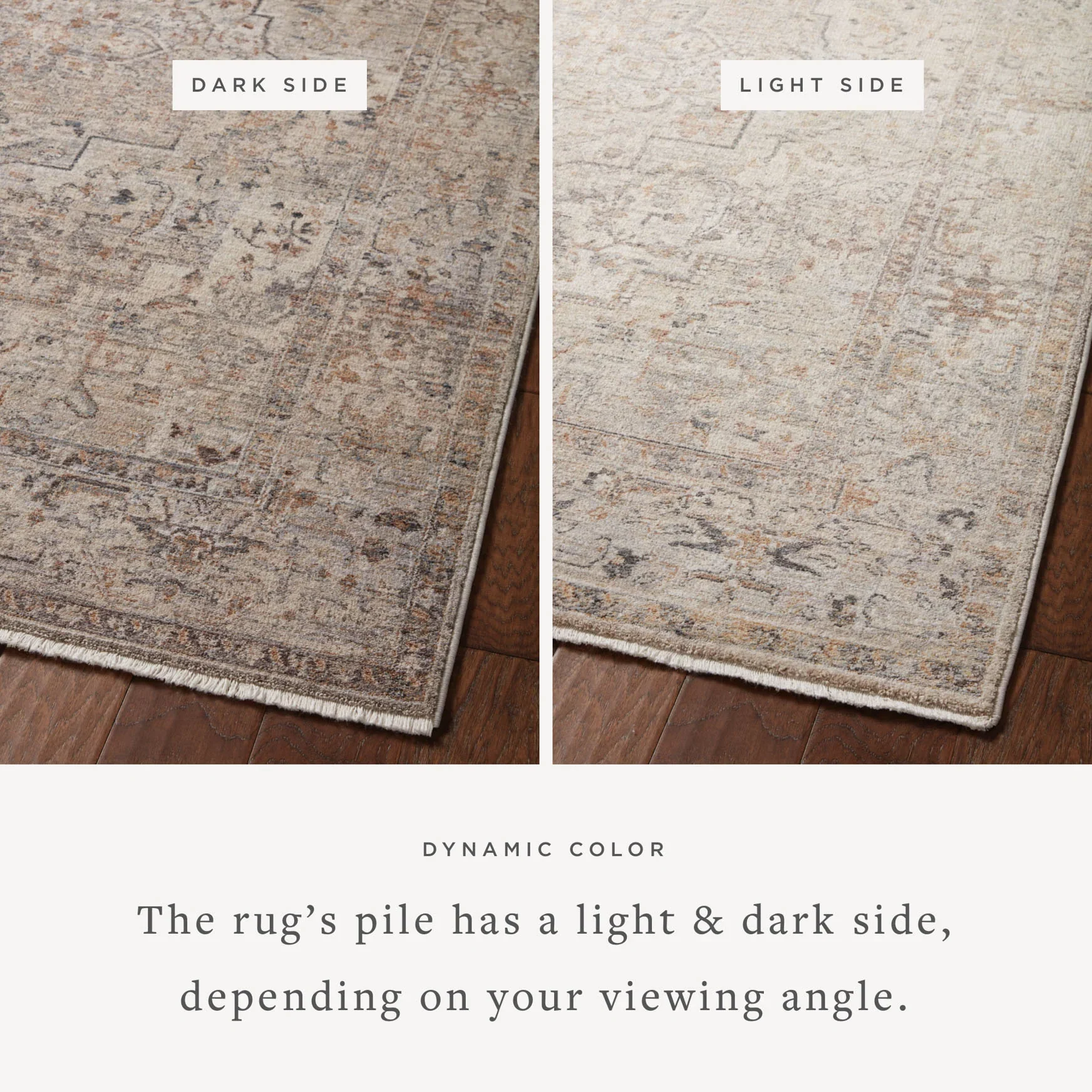 Loloi Runner Rug 2' 7" x 8' in Natural and Gold (LYR-06) - Image 2