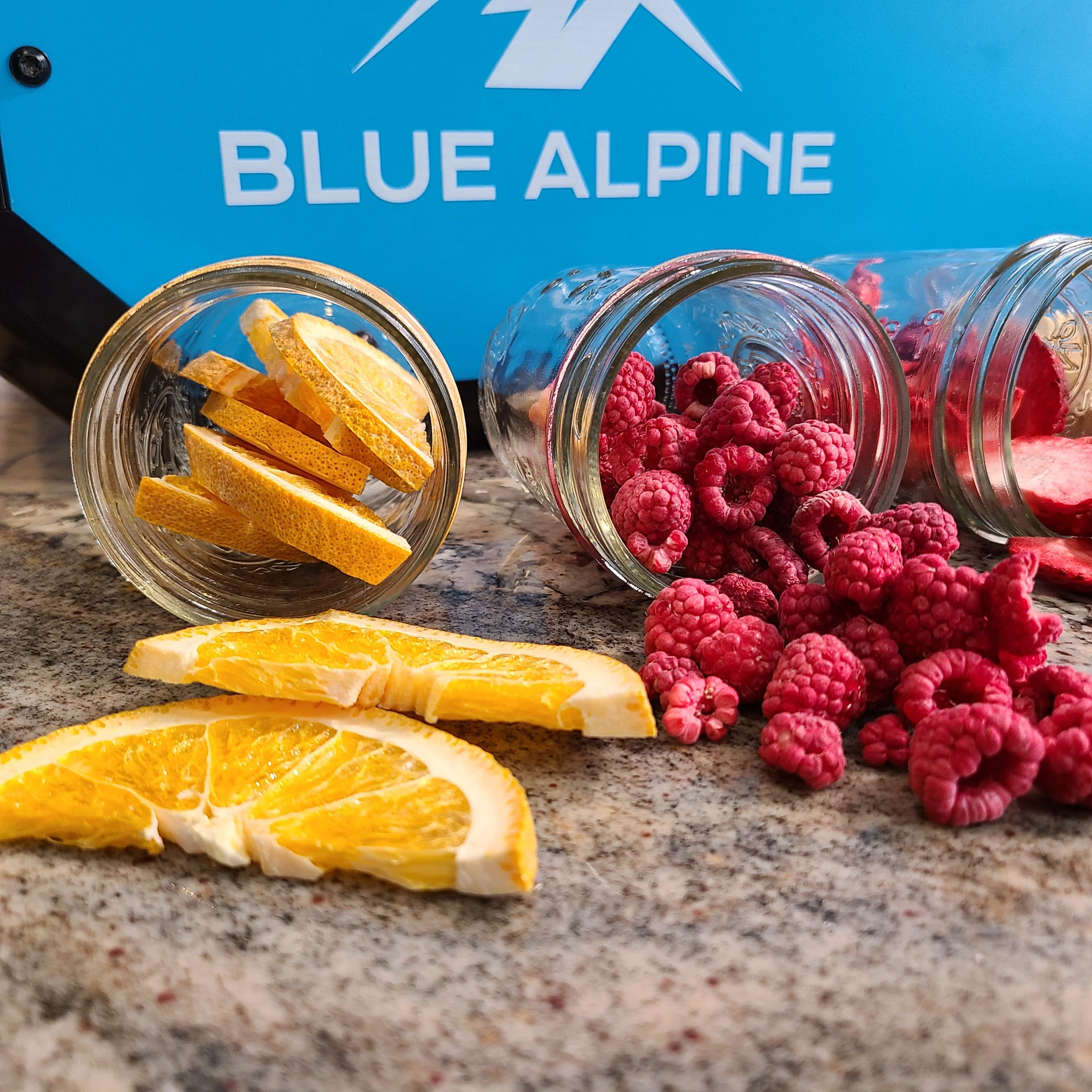 Blue Alpine Medium Elite Freeze Dryer - Image 4