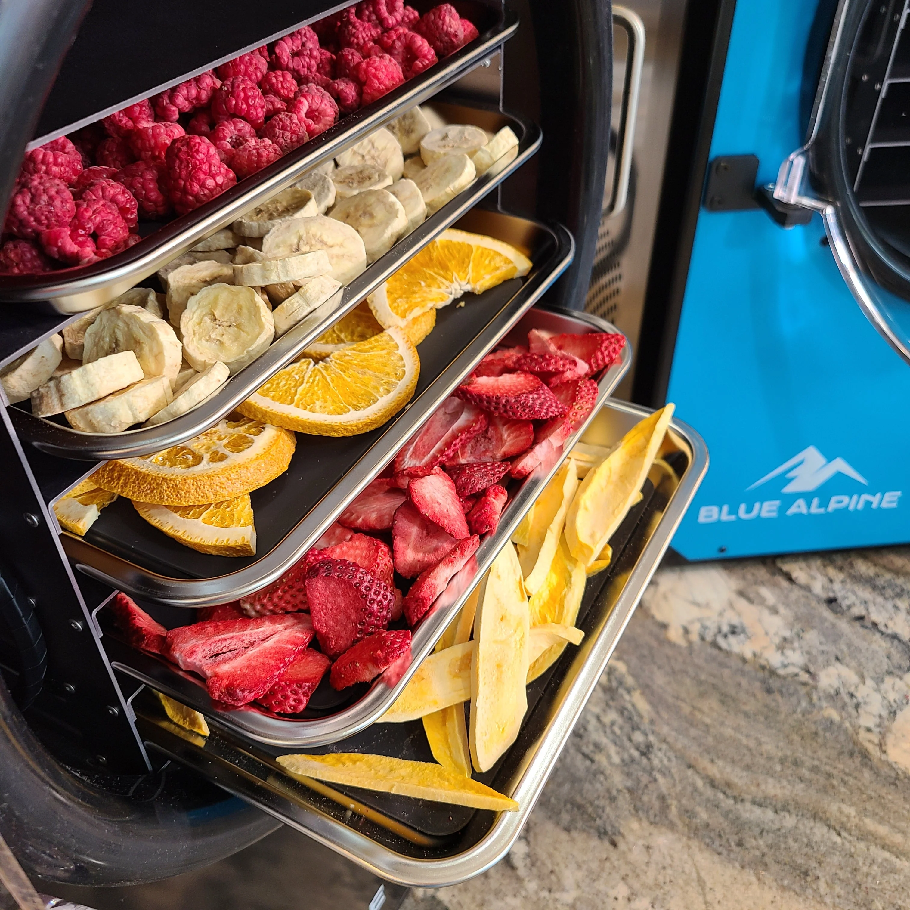 Blue Alpine Medium Elite Freeze Dryer - Image 5