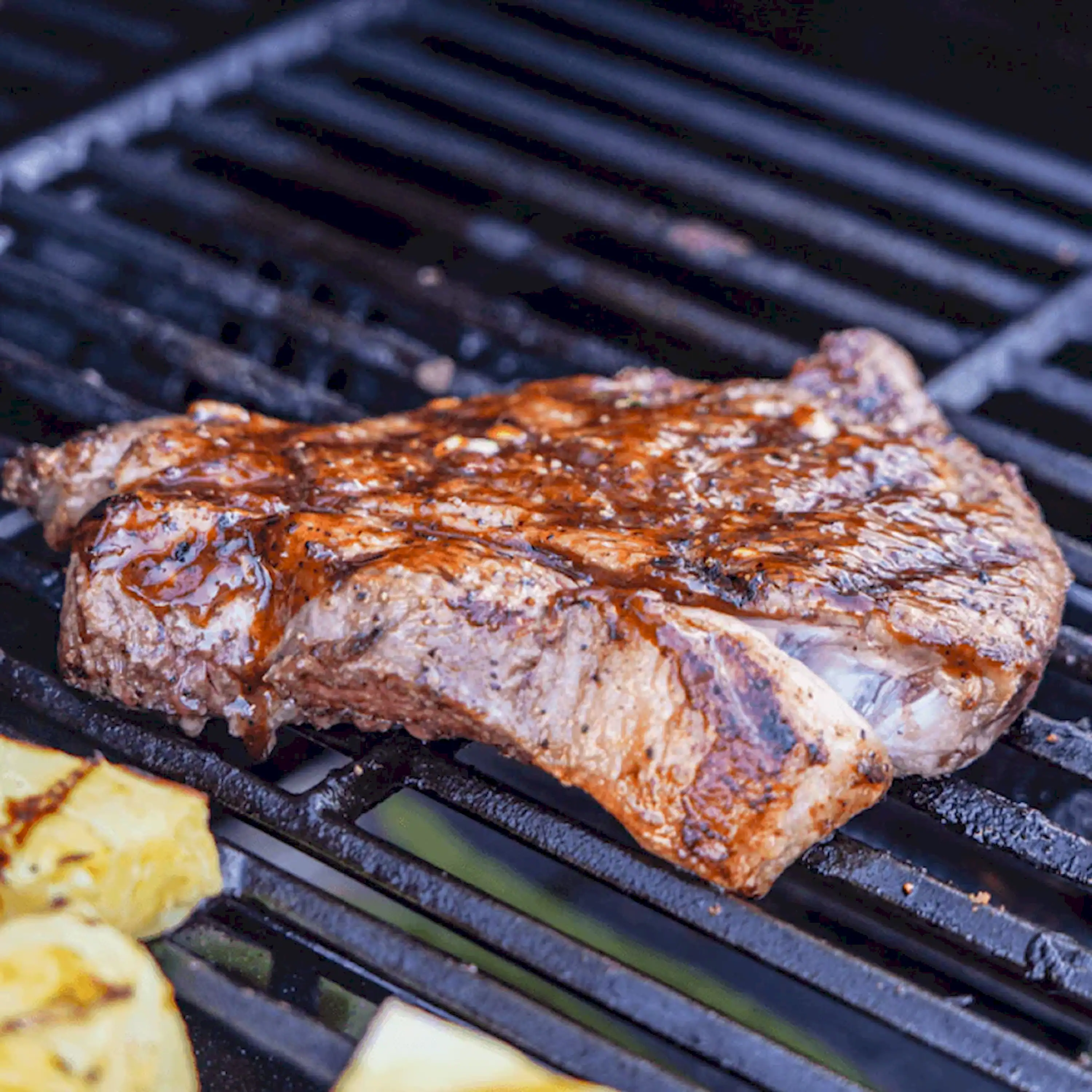 Monument Mesa Propane Gas Grill in Stainless Steel with 3 Burners (M305) - Image 6
