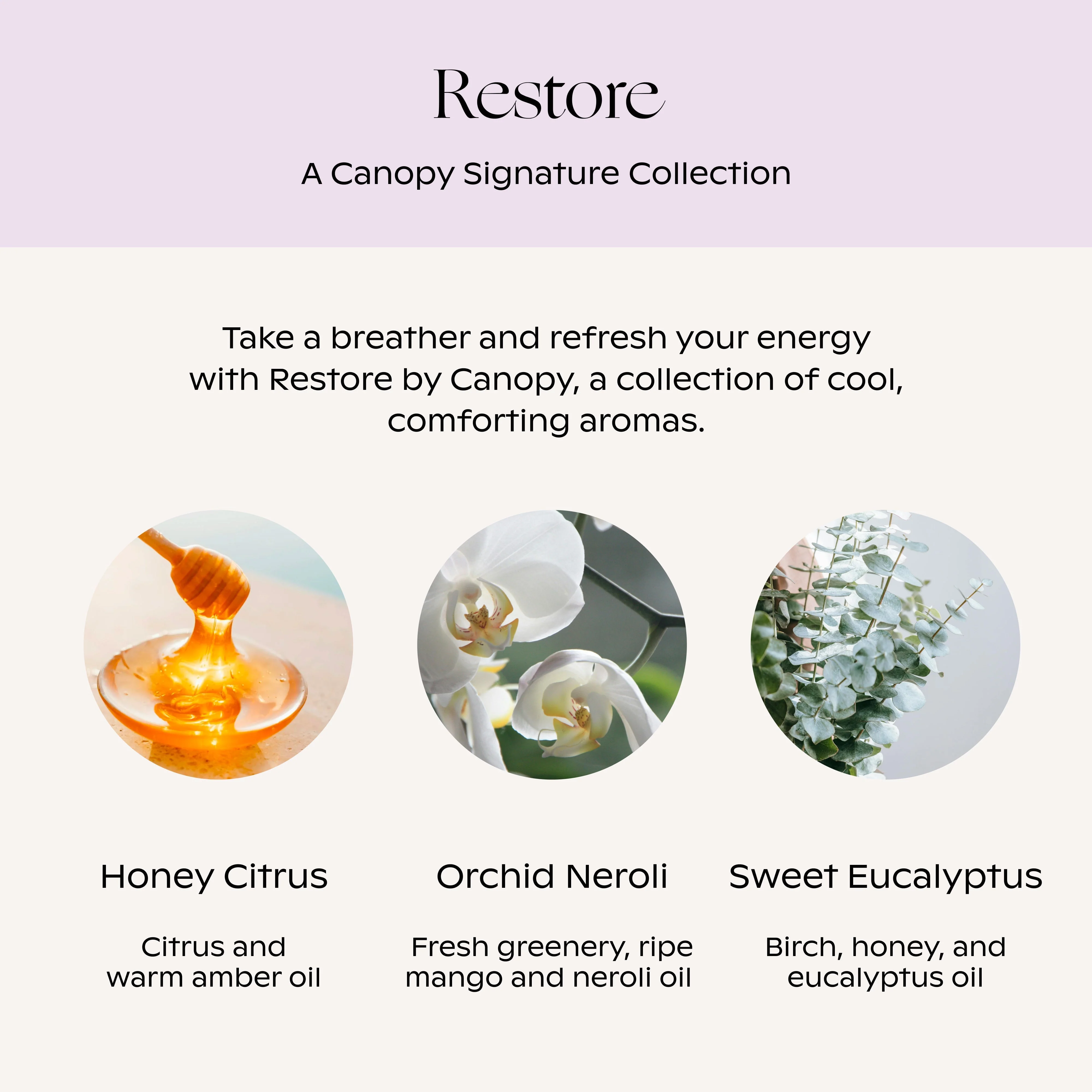 Canopy Restore Aroma Kit With Pure Essential Oils - Image 3