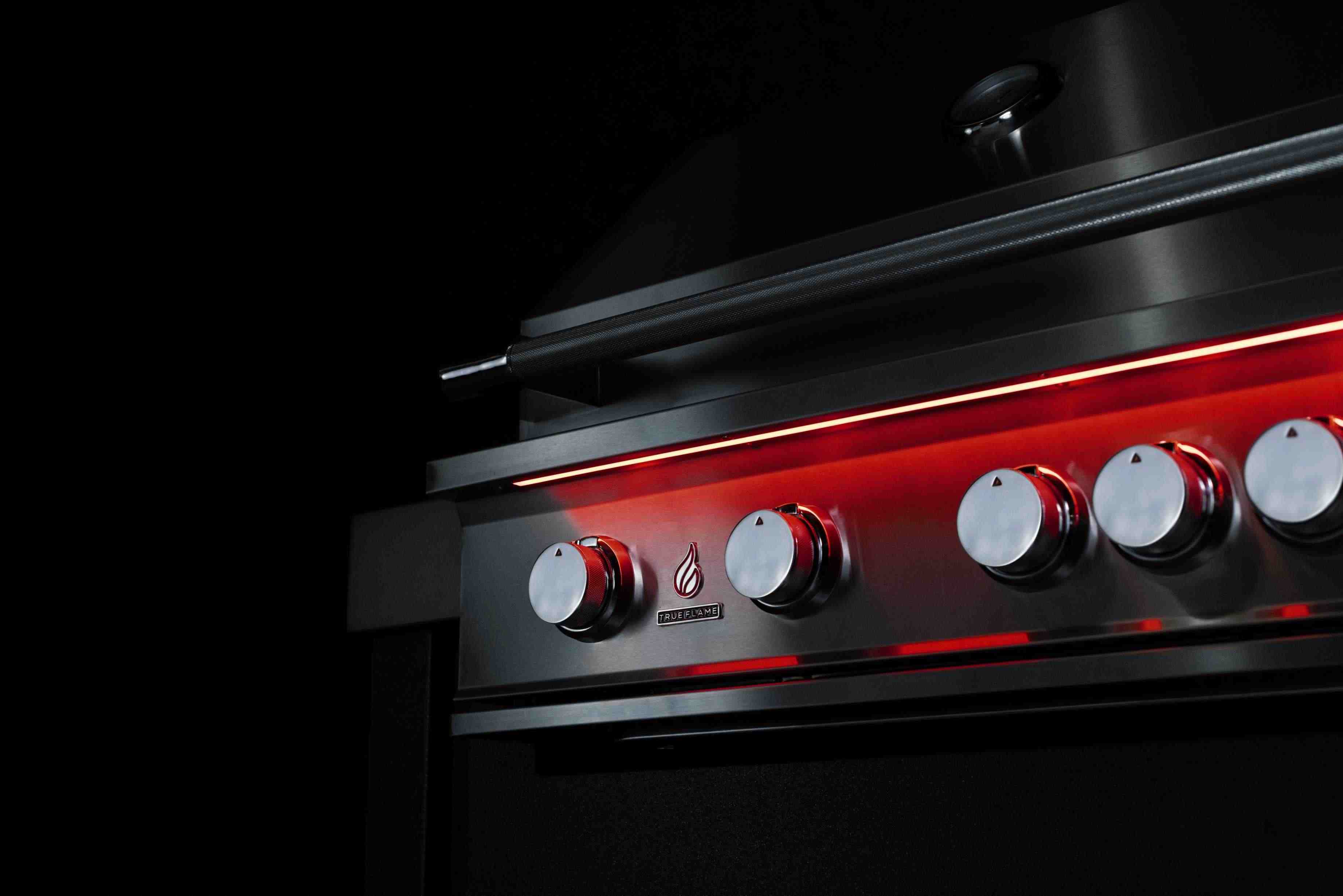 TrueFlame 32-Inch Built-In Propane Gas Grills in Stainless Steel (TF32-LP) - Image 7