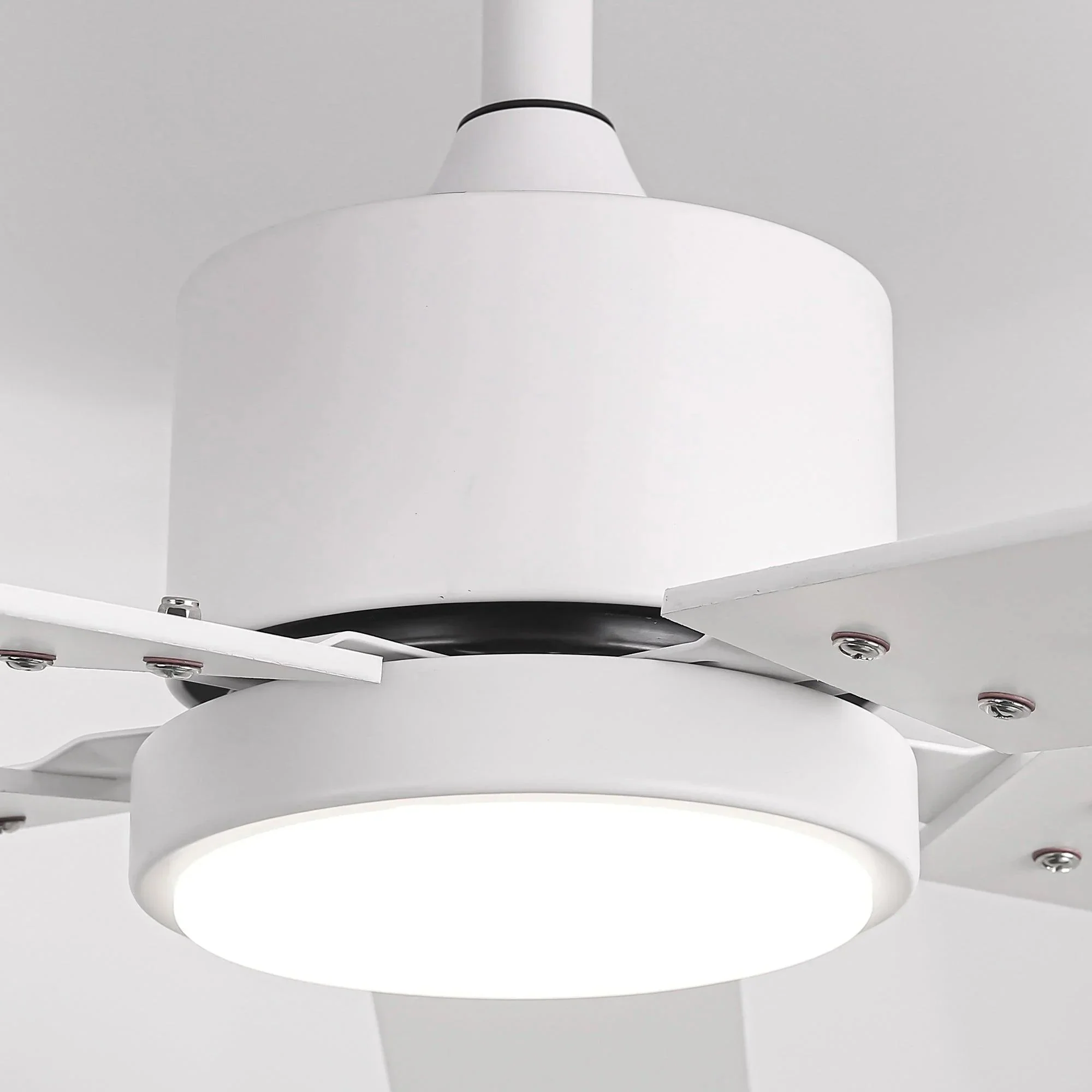 Parrot Uncle Vaczon 52-Inch DC Motor Ceiling Fan with LED Lighting and Remote Control - Image 22