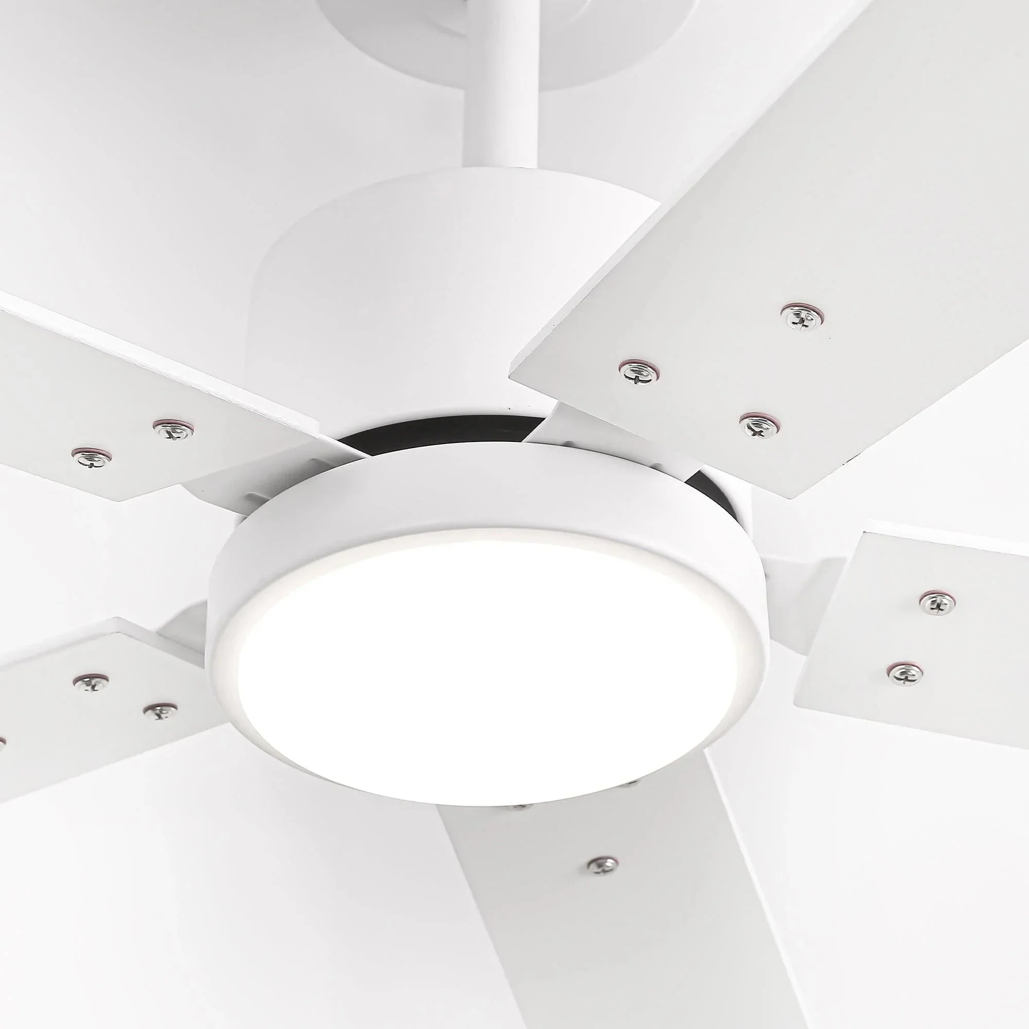 Parrot Uncle Vaczon 52-Inch DC Motor Ceiling Fan with LED Lighting and Remote Control - Image 23