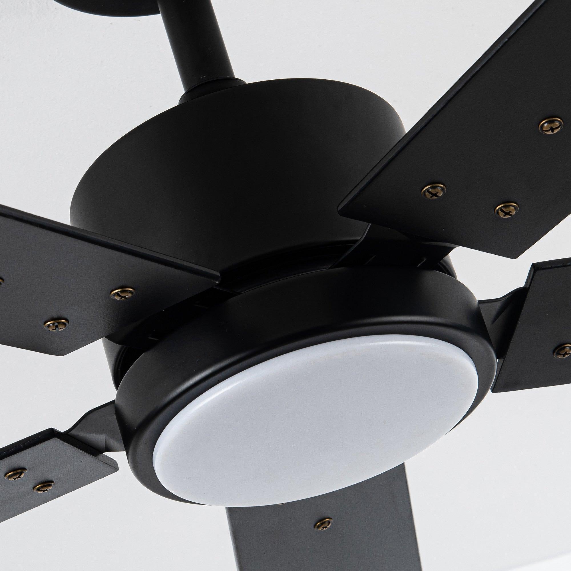 Parrot Uncle Vaczon 52-Inch DC Motor Ceiling Fan with LED Lighting and Remote Control - Image 6