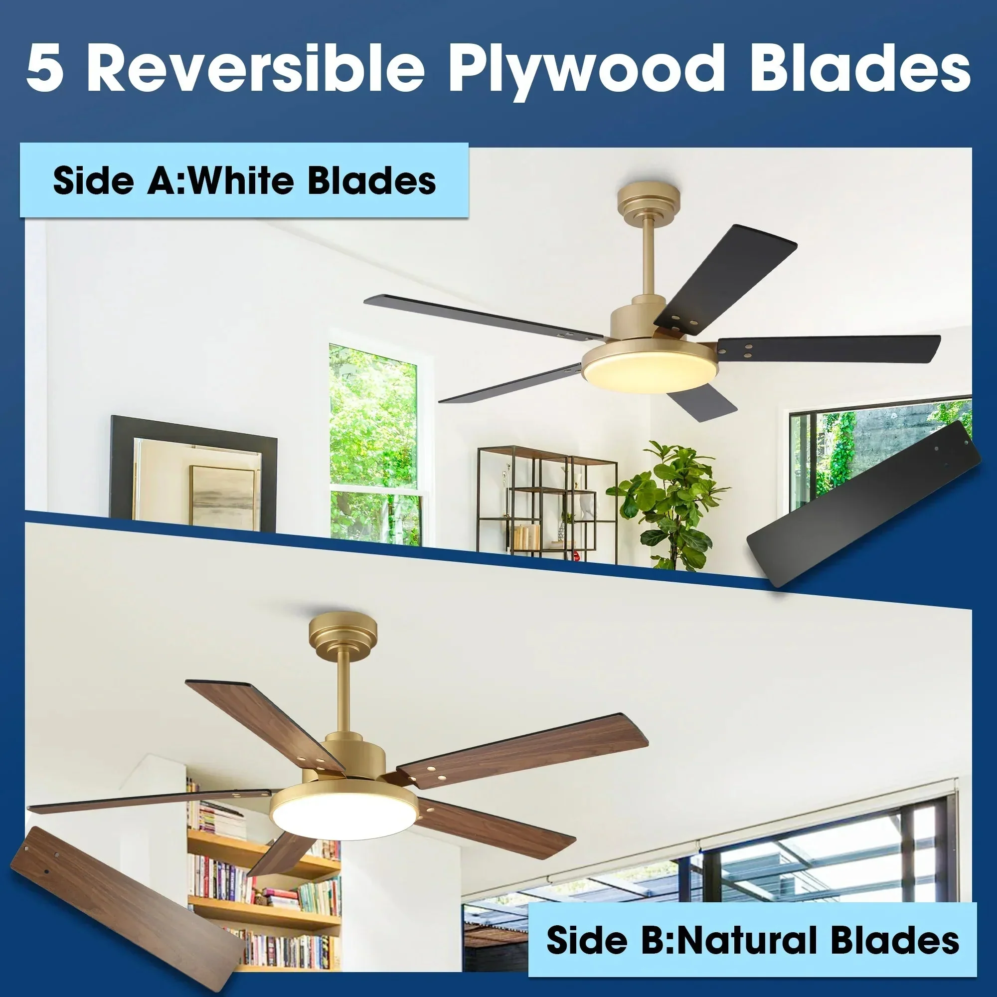 Parrot Uncle Vaczon 52-Inch Double-sided Blades Modern Ceiling Fan with Remote Control and LED Light - Image 8