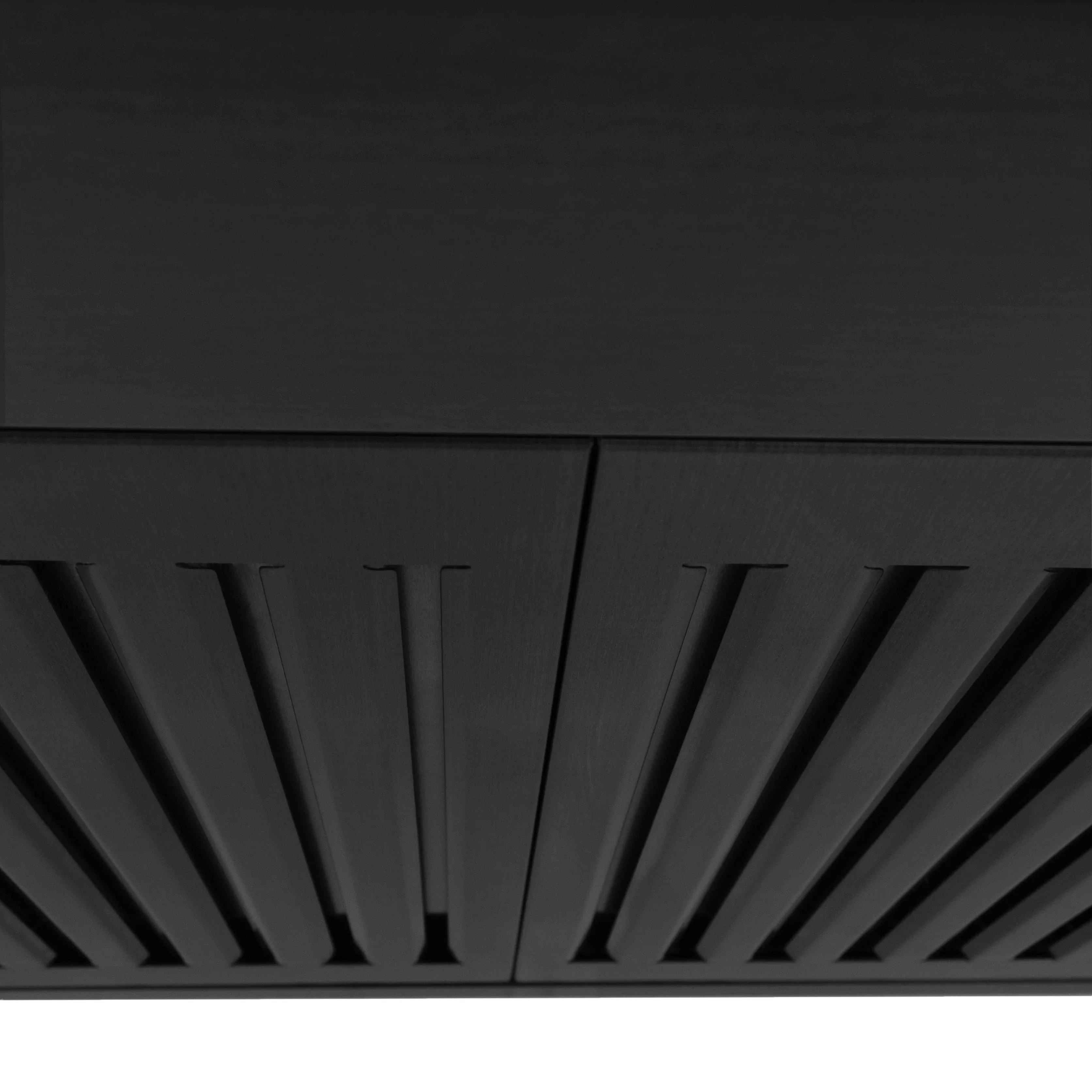 ZLINE 4-Piece Appliance Package - 30-Inch Dual Fuel Range, Hood, Refrigerator with Water Dispenser, and Dishwasher in Black Stainless Steel - Image 20